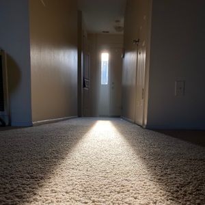 Meet your Posher, Alexander